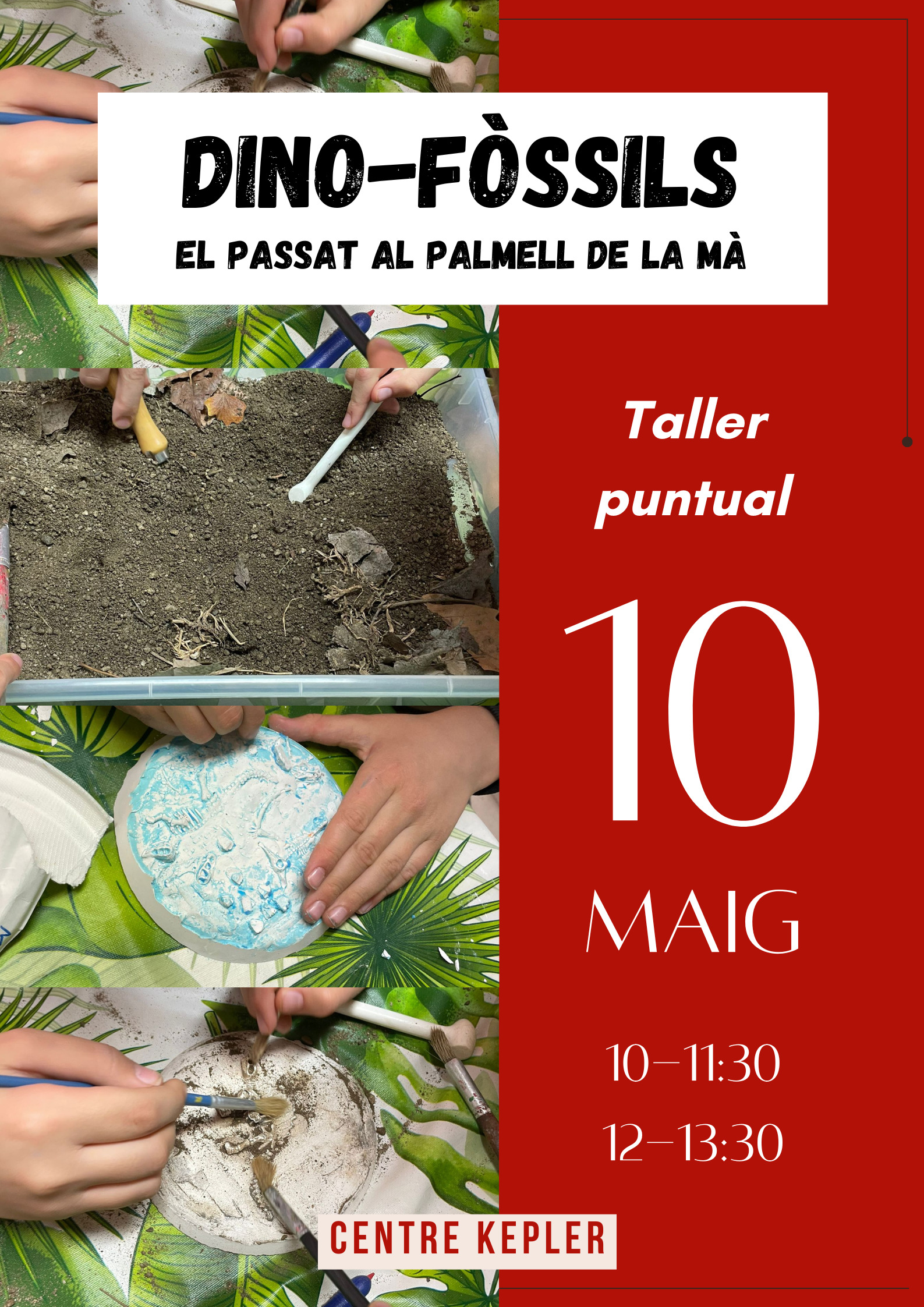 Cartell del taller puntual Dinofòssils del 10/05
